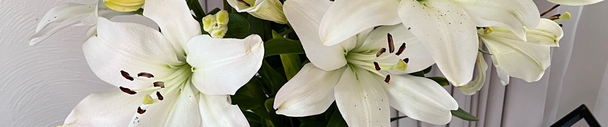 Aa