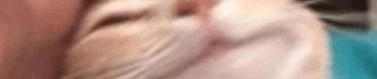 MOTH_959