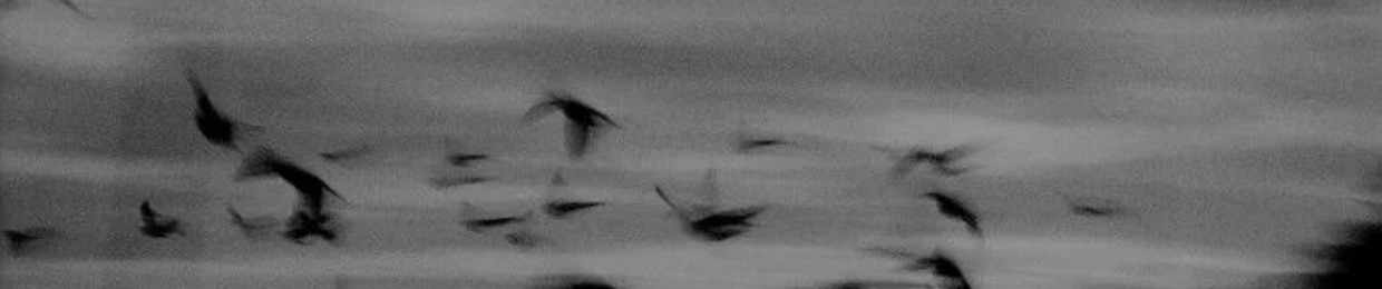 V O I D
