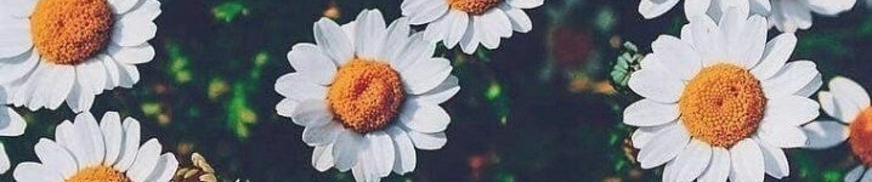 𝙹𝚊𝚢_𝙼𝚎𝚕🦋