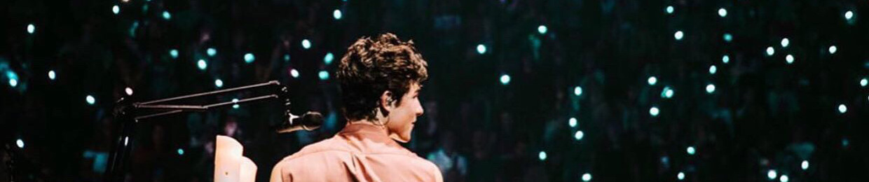 Shawn Mendes Unreleased