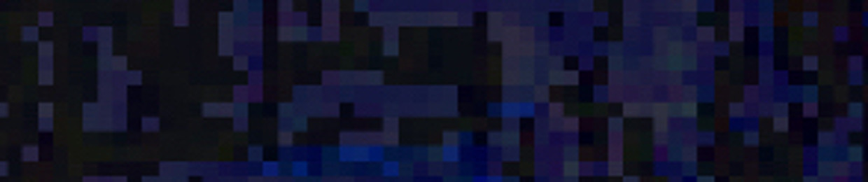 VIPEX