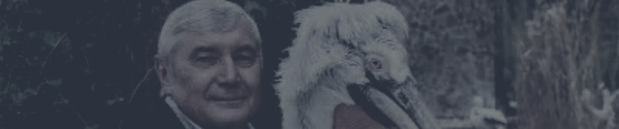 Does Anyone Else Podcast