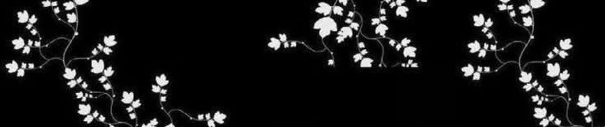 𝑽𝑖𝑙𝑙𝑎𝑖𝑛
