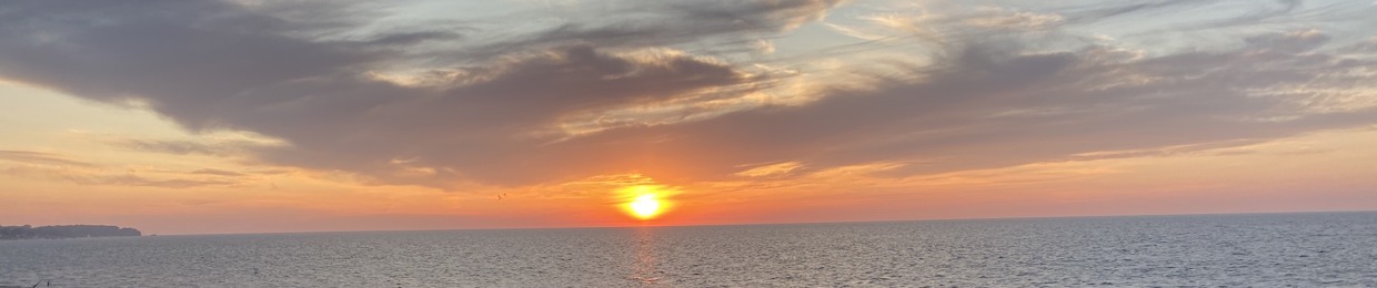 𝕬𝖘𝖘𝖞𝖑𝖆