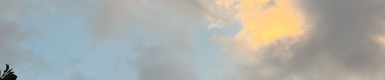 Hajar Al-abdulkareem