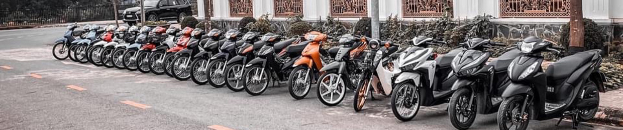 NgV Việt