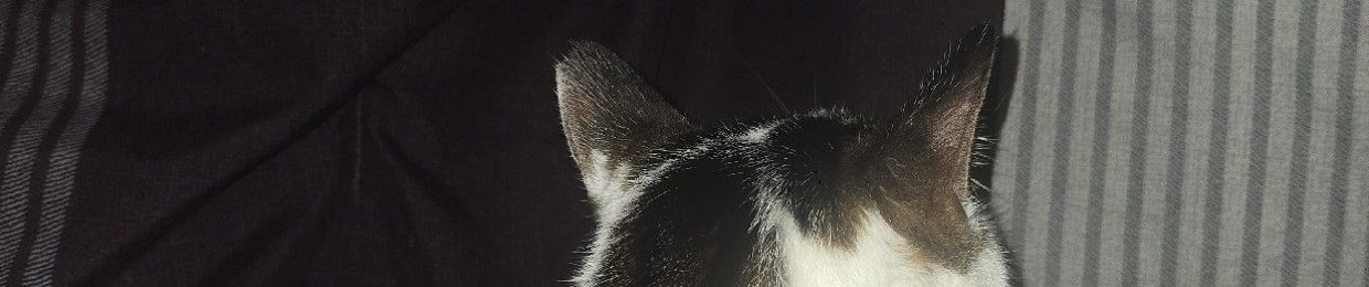Sam
