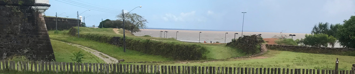 Kennet Gomes