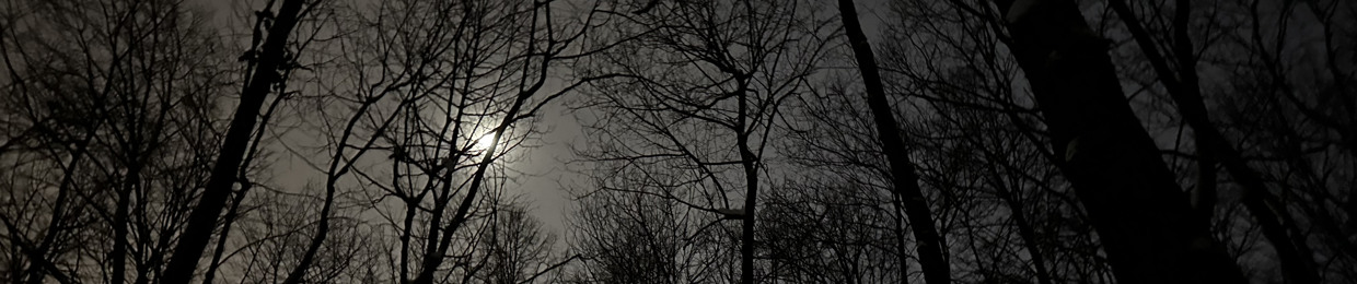 свидетель краха империи