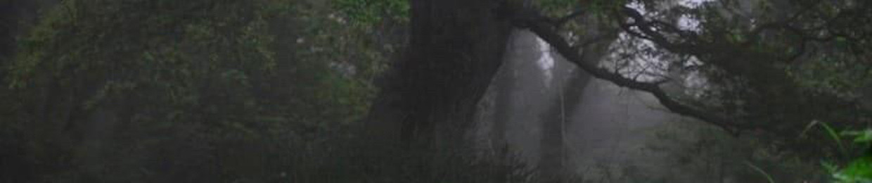 A Wandering Feydragon