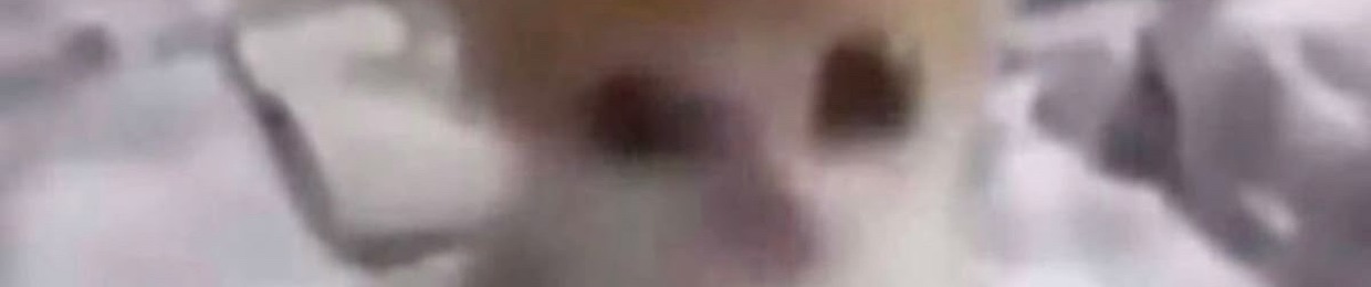 i’m in your intestines