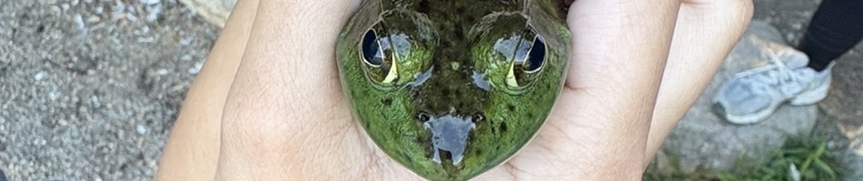 tanyacruzguti