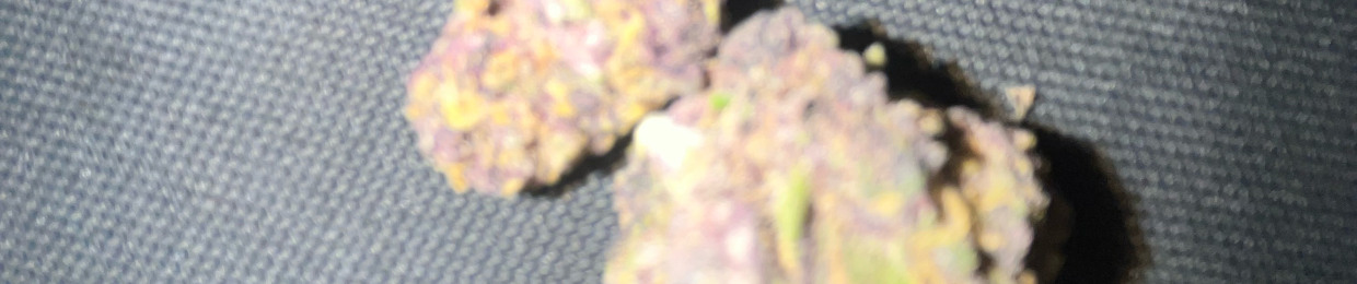 Li Reefer 🆘