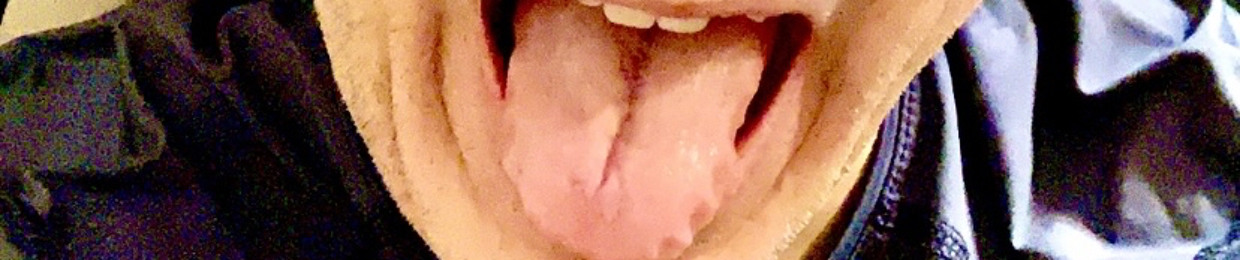 Anvil Panow Creations