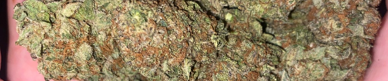 abby😴 (smokinthrax_ on ig)