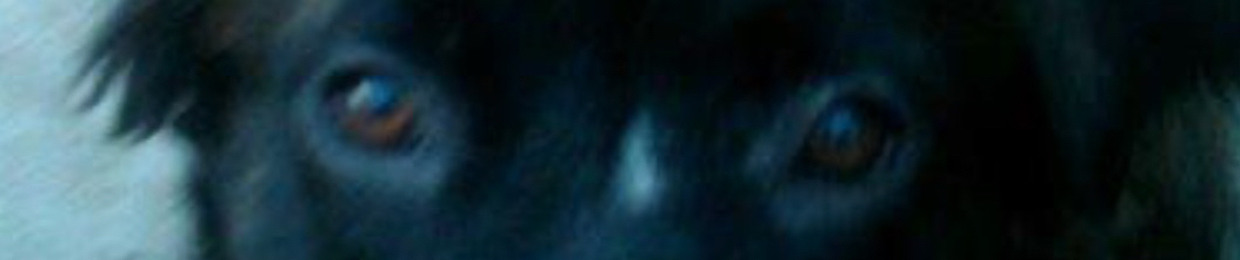 Tom (Question) / Eric James / Mosier-Edder