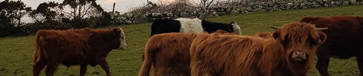 massey35x