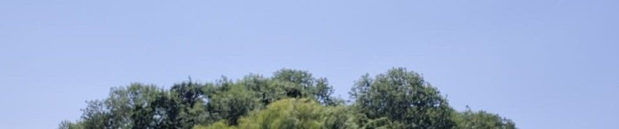 joeyvdb3@hotmail.com