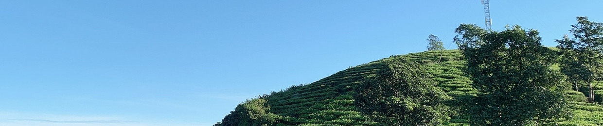cường