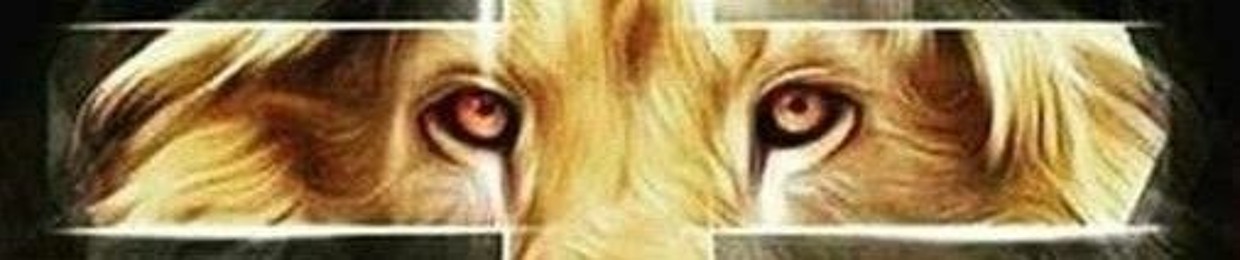 dz da brasil 🇧🇷