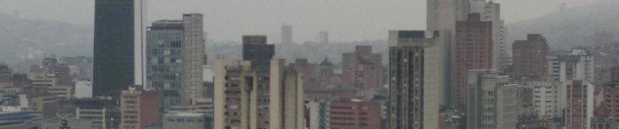 el diestro