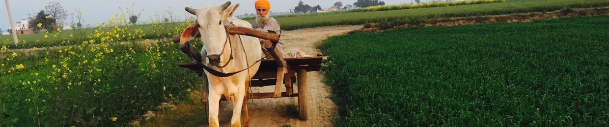 Gulab Grewal