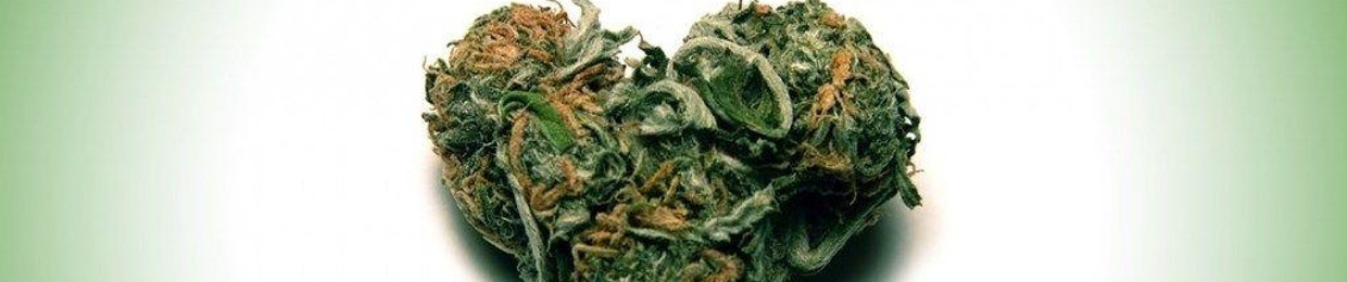 Đào Lê Đức Minh