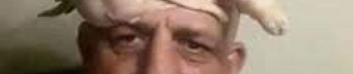 Gitler
