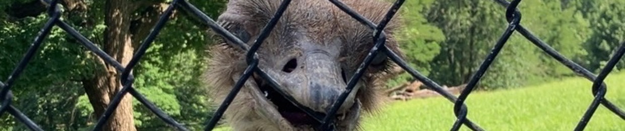 Bread Monkey Productions