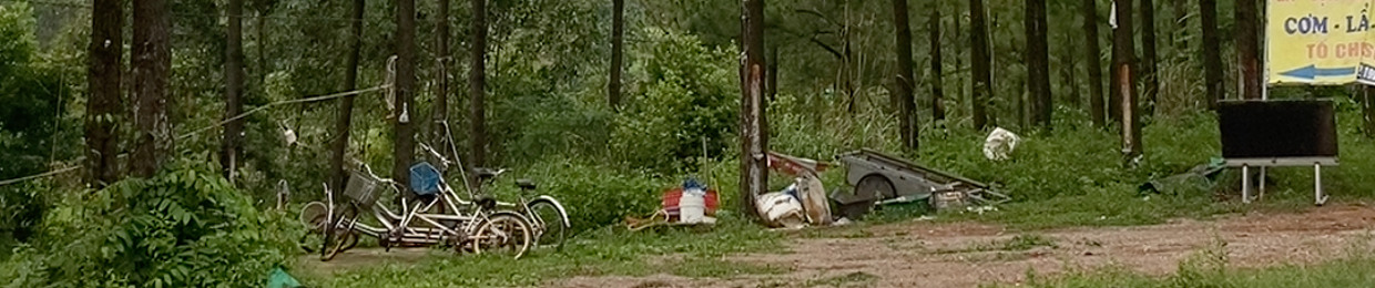 ngoc nghech vi e