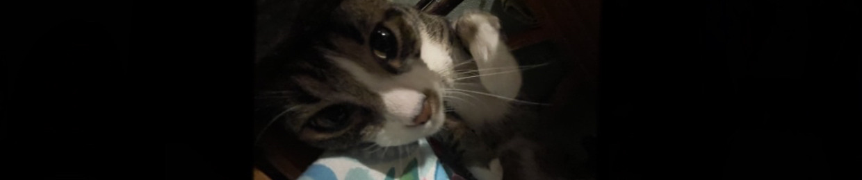 veda <3