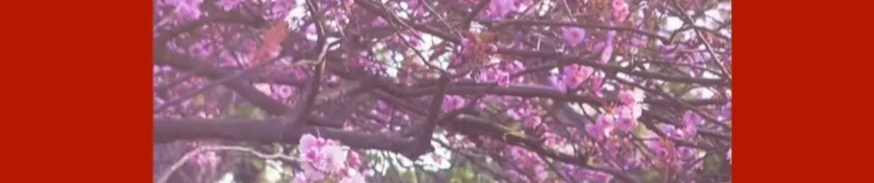 🌹ThatkidMyles🌹