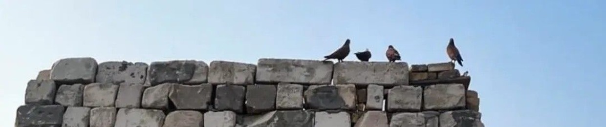 نـور عمـاد
