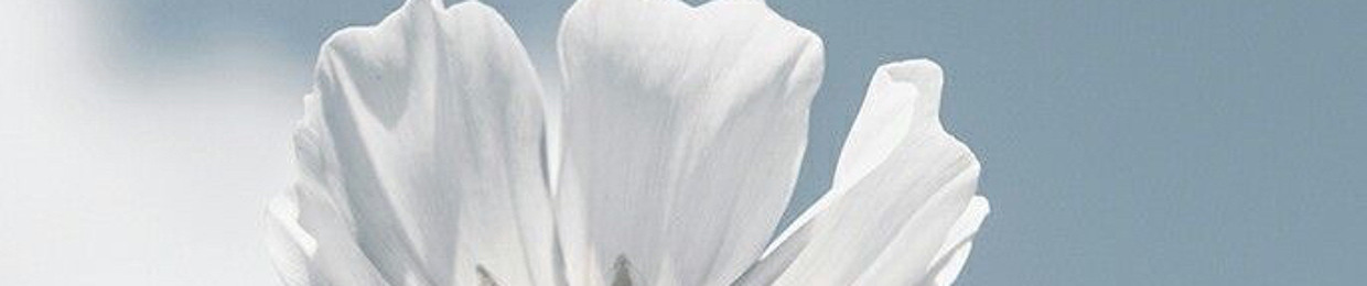 Sawsan Ali