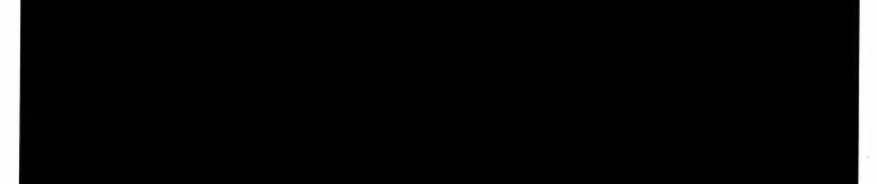⠀