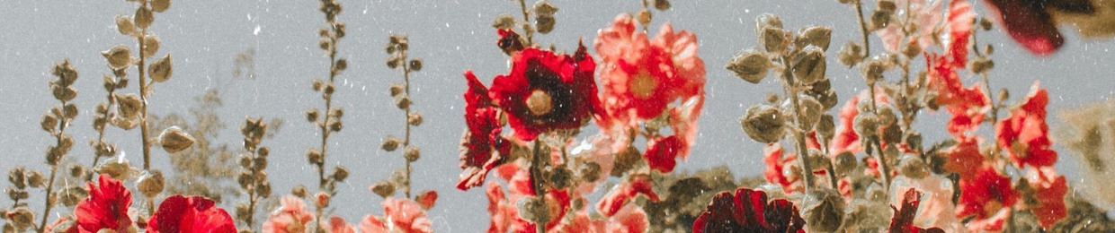chrysalistical