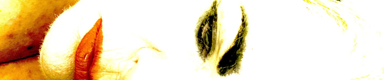 CountessM (Collabs & Instrumental Page Official)