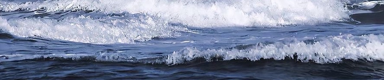Phan Võ Hồng Ngọc