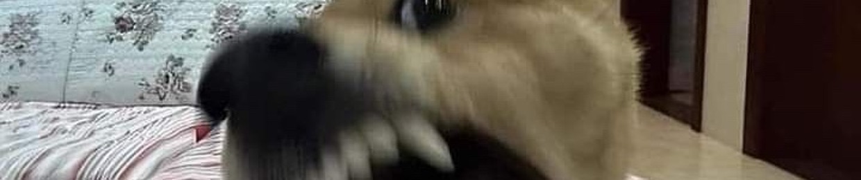 Ngọc Tuyền✈️