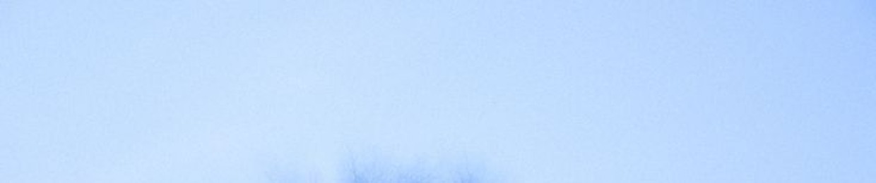 OrniComa после полуночи