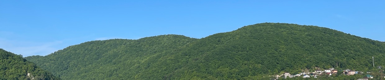 mnfstr