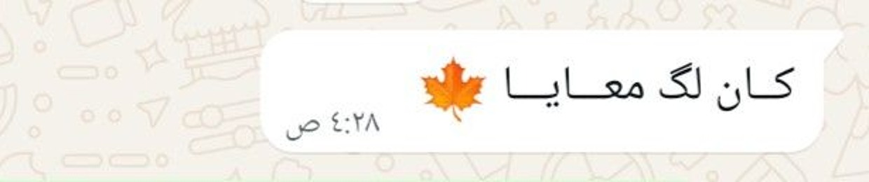 Ahmed Abdelfattah 🍁