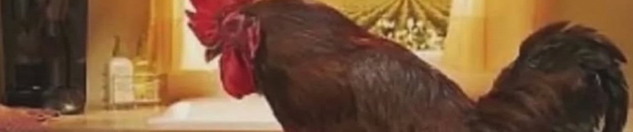 hello im jamal‎ ‎ ‎ ‎ ‎ ‎ ‎ ‎ ‎ ‎