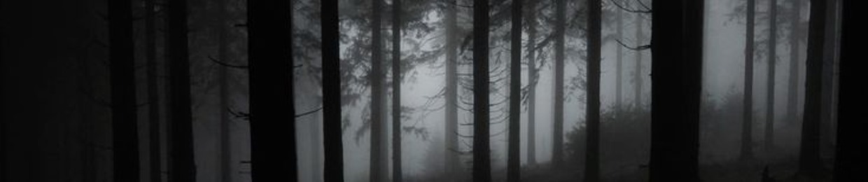 ленуся хамстер