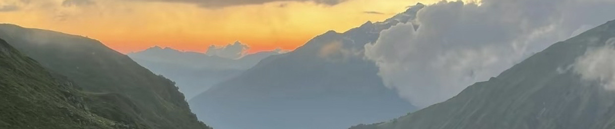 sarniceu