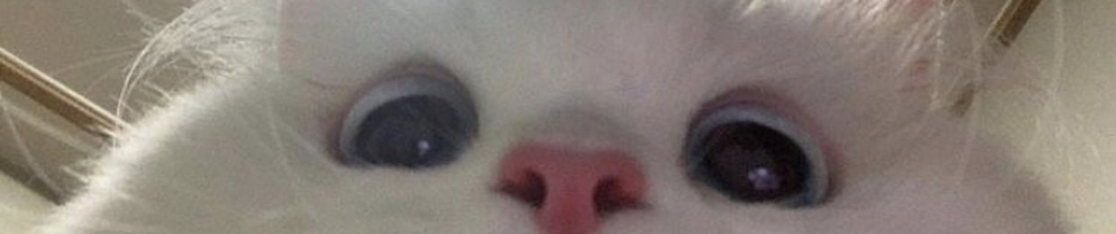 iris εïз