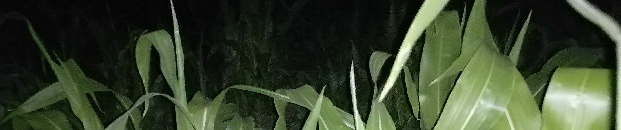 necrophiil