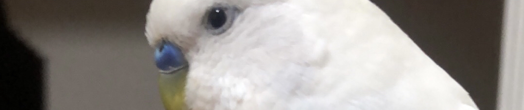 stream koray avci aglama yar by b listen online for free on soundcloud