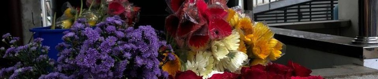 hiza